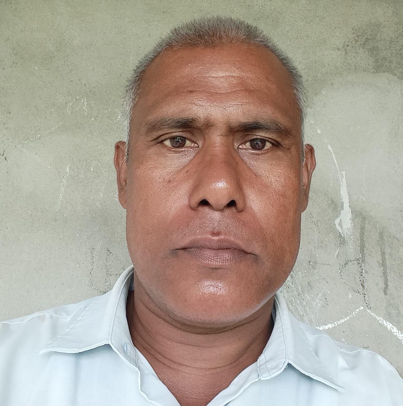 NIRMAL BORPATRA